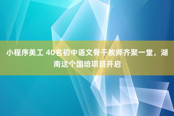 小程序美工 40名初中语文骨干教师齐聚一堂，湖南这个国培项目开启