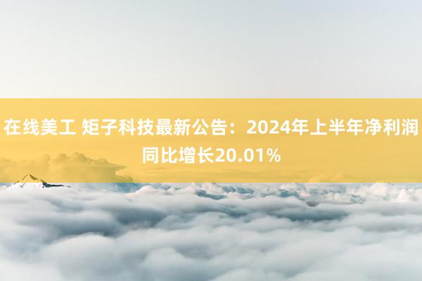 在线美工 矩子科技最新公告：2024年上半年净利润同比增长20.01%