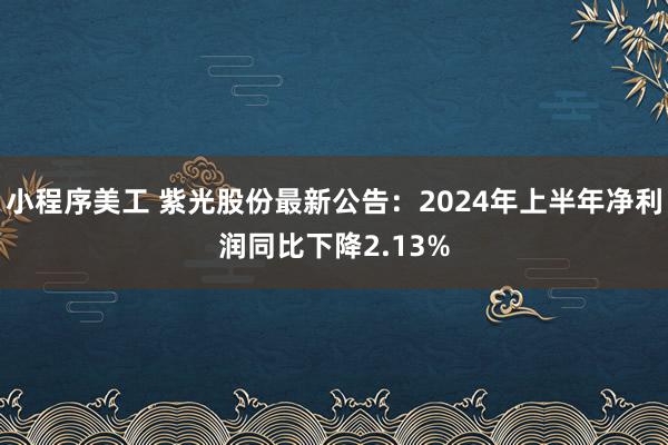 小程序美工 紫光股份最新公告：2024年上半年净利润同比下降2.13%