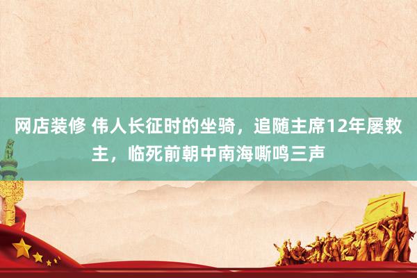 网店装修 伟人长征时的坐骑，追随主席12年屡救主，临死前朝中南海嘶鸣三声